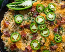 Macaroni au Cheddar et Jalapeño