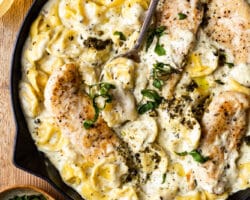 Soupe Crémeuse au Poulet, Tortellini et Pesto