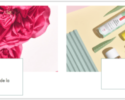 Parashop Promotions