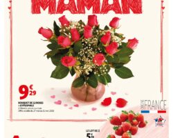 Catalogue Auchan