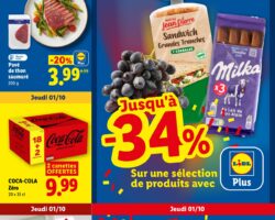 Catalogue Lidl