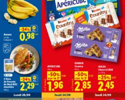 Catalogue Lidl