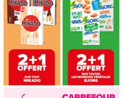 Catalogue Carrefour